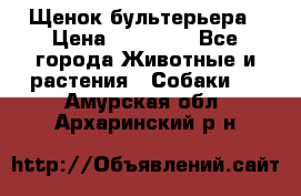 Щенок бультерьера › Цена ­ 35 000 - Все города Животные и растения » Собаки   . Амурская обл.,Архаринский р-н